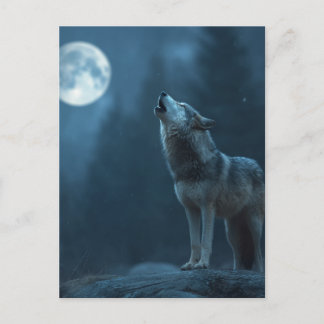 A Howling Wolf Postcard