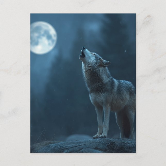 A Howling Wolf Postcard (Front)