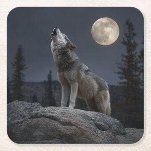 A Howling Wolf Square Paper Coaster