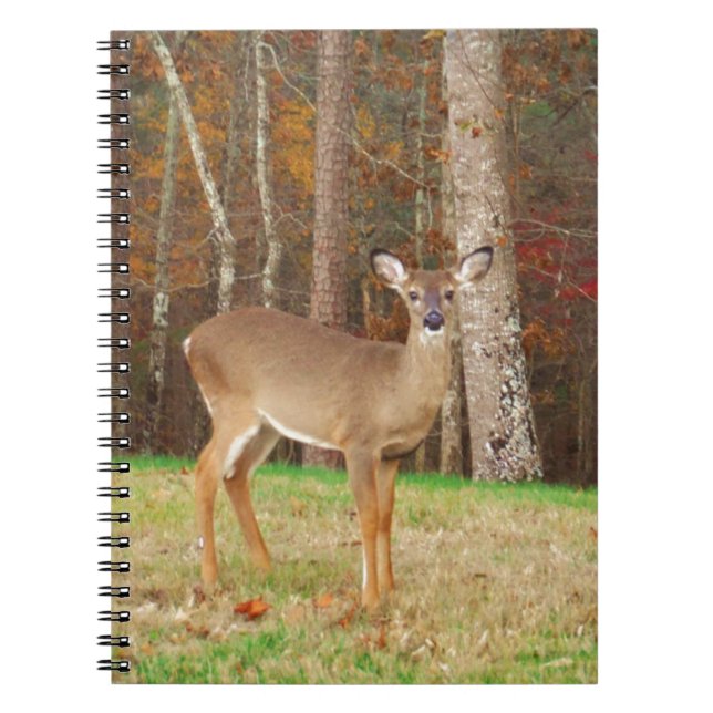 A Hunter's Dream Deer Notebook (Front)