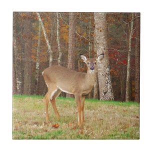 A Hunter's Dream Deer Tile