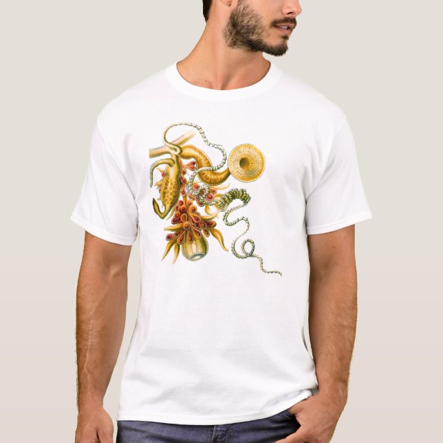 A Hydrozoan - Salacella uvaria T-Shirt (Front)