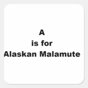 a is for alaskan malamute square sticker