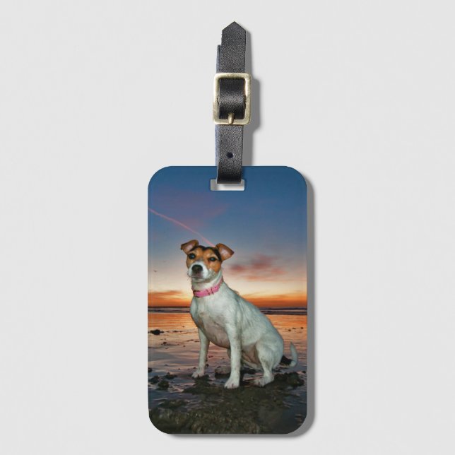 A Jack Russell Sitting Beach | Brighton Beach Luggage Tag (Front Vertical)