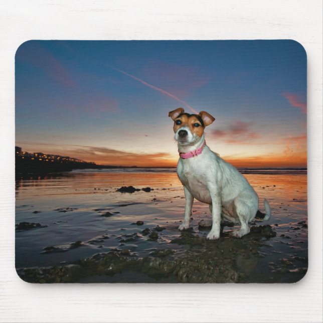 A Jack Russell Sitting Beach | Brighton Beach Mouse Pad (Front)