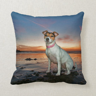 A Jack Russell Sitting Beach Brighton Beach Throw Pillow