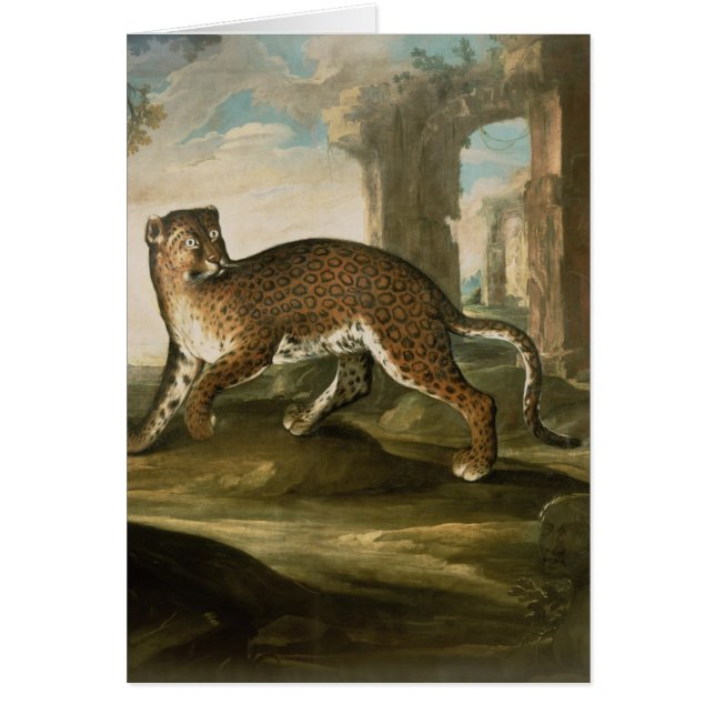 A Jaguar (Front)