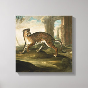 A Jaguar Canvas Print