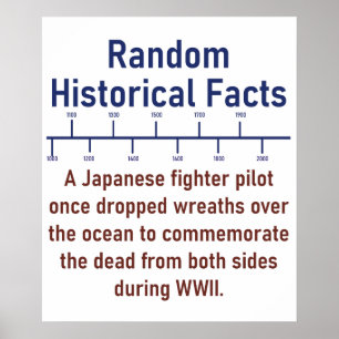 A Japanese Fighter Pilot - History Fact Poster