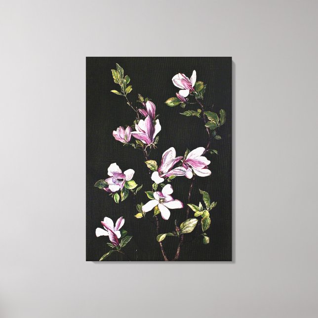 A Japanese Magnolia Canvas Print (Front)