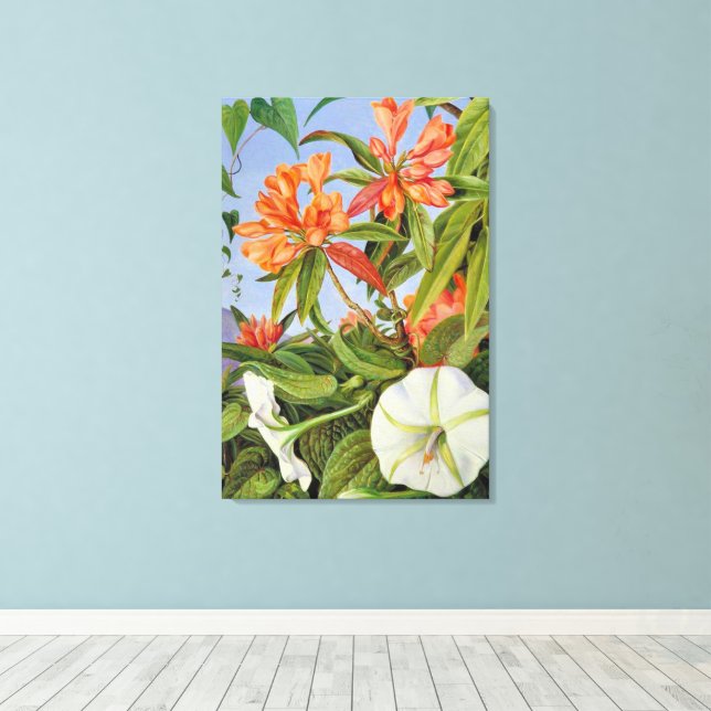 A Javan Rhododendrum and Ipomoea Canvas Print (Insitu(Wood Floor))