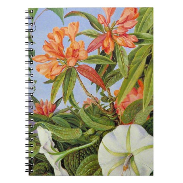 A Javan Rhododendrum and Ipomoea Notebook (Front)