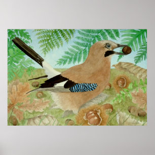 A Jay in the fall Poster