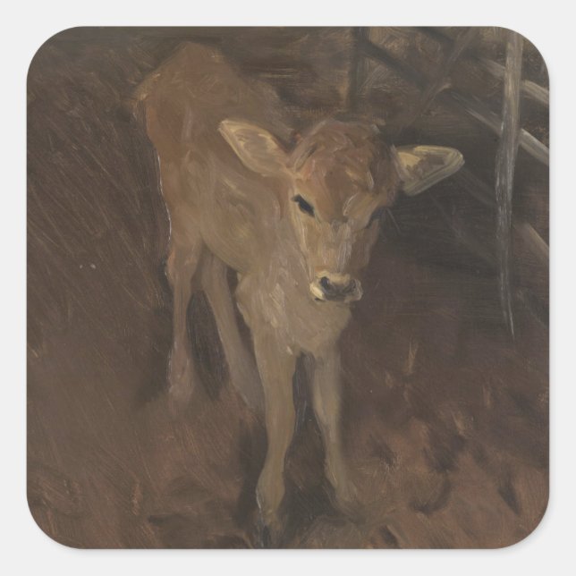 A Jersey Calf Square Sticker (Front)