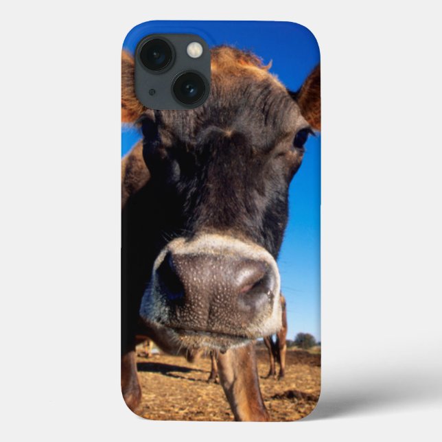 A Jersey cow being inquisitive Case-Mate iPhone Case (Back)