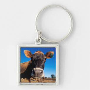 A Jersey cow being inquisitive Keychain