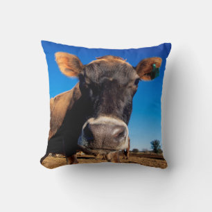 A Jersey cow being inquisitive Throw Pillow