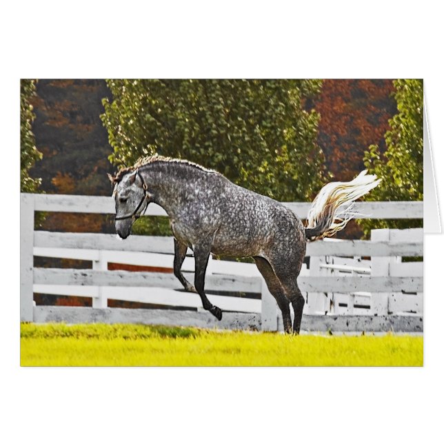 A Joyful Leap (Front Horizontal)