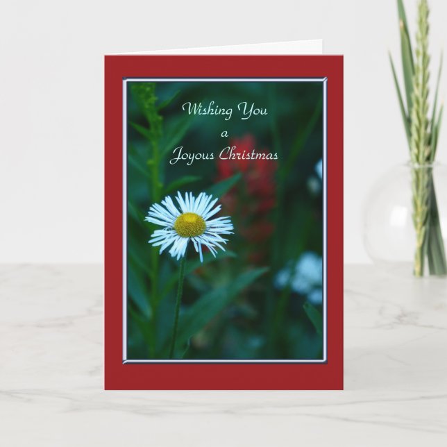 A Joyous Christmas, White Daisy Wildflower Holiday Card (Front)