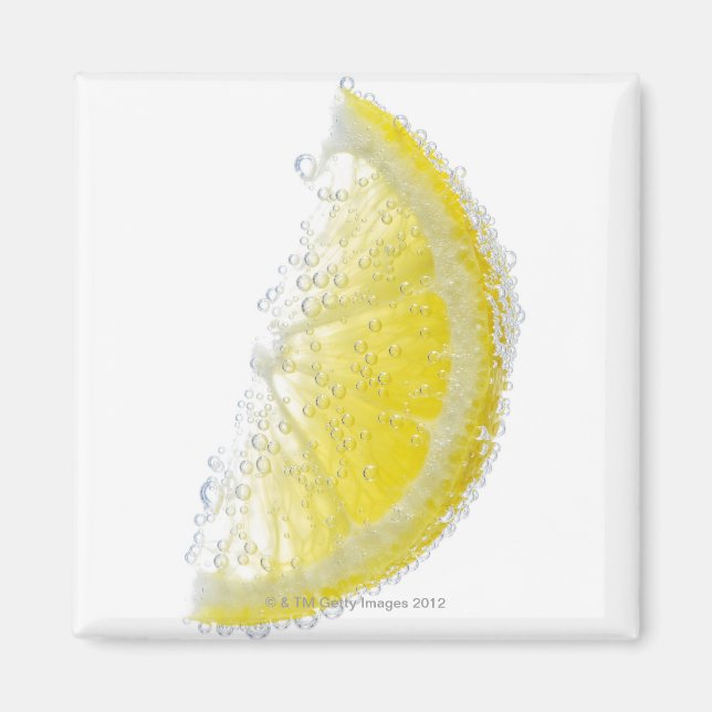 A juicy ripe organic lemon wedge fruit submerged magnet (Front)