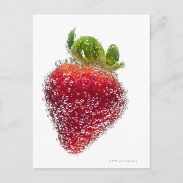 A juicy ripe organic Strawberry fruit submerged Postcard (Front)