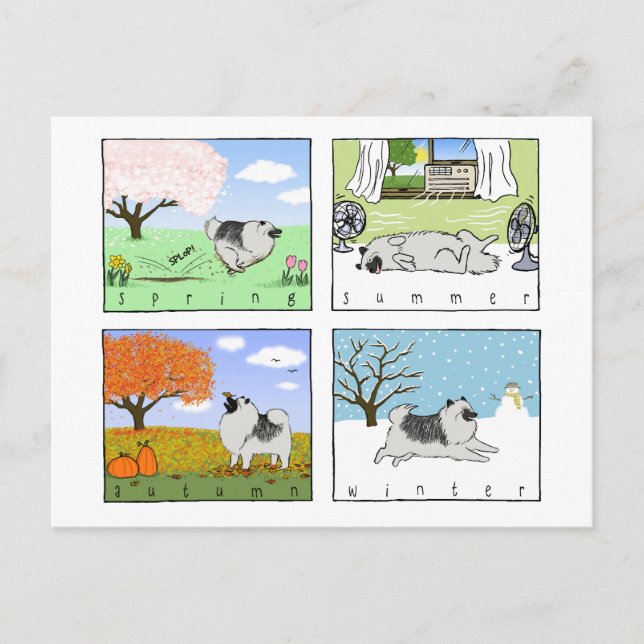 A Keeshond Enjoys the Four Seasons - Fun Dog Art Postcard (Front)