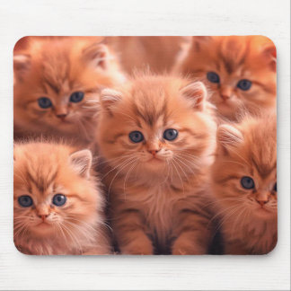 A Kindle Of Cute Kittens on Laptop Desktop Tablet Mouse Pad