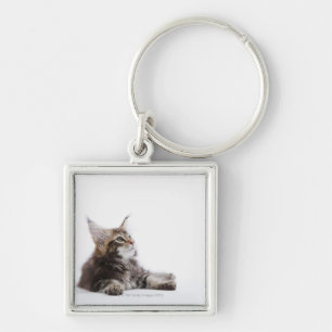 A kitten of Maine Coon cat Keychain