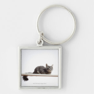 A kitten of Saiberian cat on the board Keychain