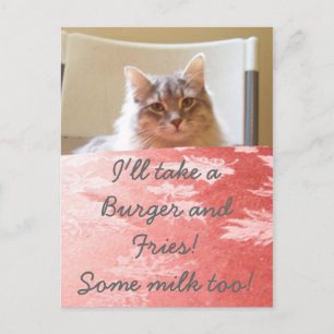 A kitty's Dream! Postcard