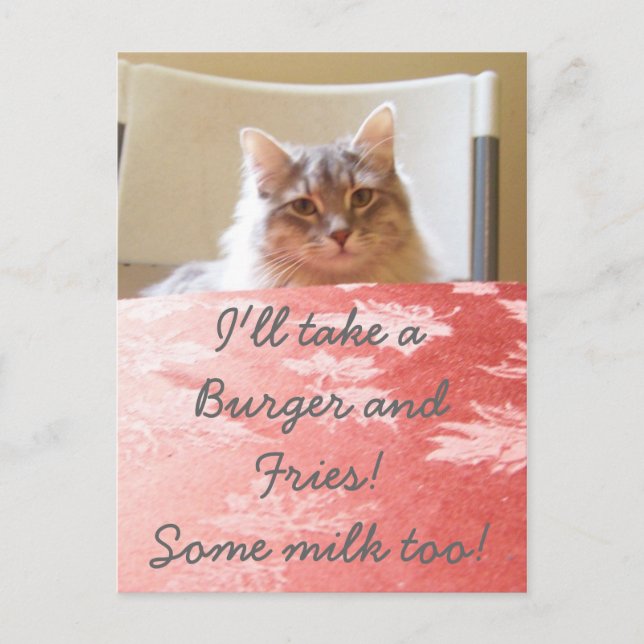 A kitty's Dream! Postcard (Front)