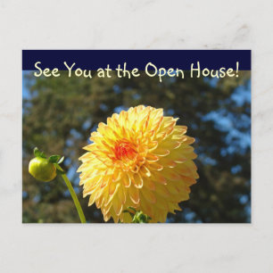 À la Maison ouverte! cartes postales Dahlia
