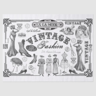 A la Mode Tissue Paper