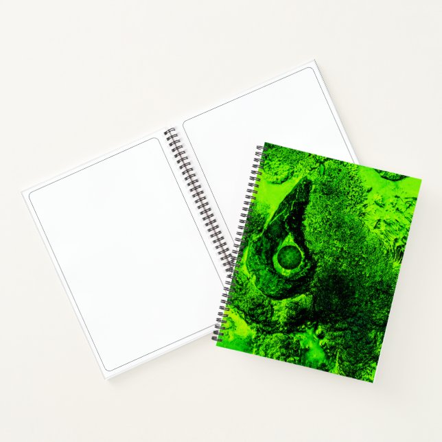à la recherche de carnet vert (Intérieur)