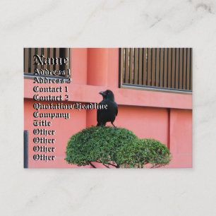A Large-Billed Jungle Crow A Perch On A Cloud Tree Business Card