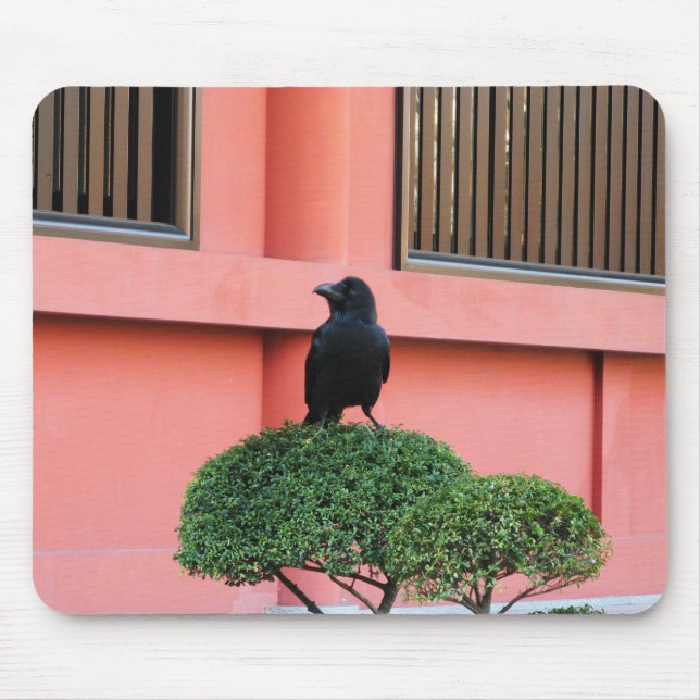 A Large-Billed Jungle Crow A Perch On A Cloud Tree Mouse Pad (Front)