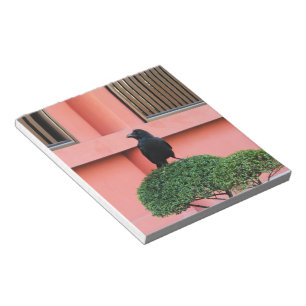 A Large-Billed Jungle Crow A Perch On A Cloud Tree Notepad
