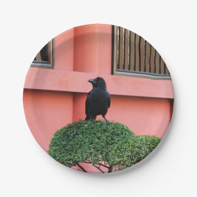 A Large-Billed Jungle Crow A Perch On A Cloud Tree Paper Plate (Front)