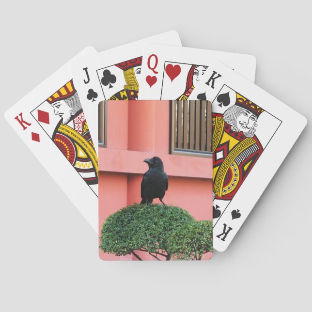 A Large-Billed Jungle Crow A Perch On A Cloud Tree Playing Cards (Back)