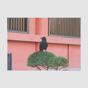 A Large-Billed Jungle Crow A Perch On A Cloud Tree Tissue Paper