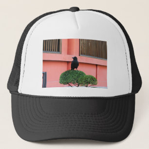 A Large-Billed Jungle Crow A Perch On A Cloud Tree Trucker Hat