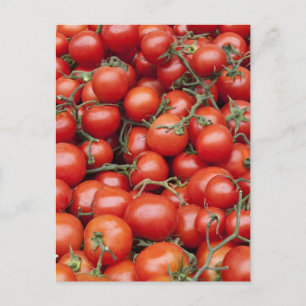 A large crop of tomato on a market stall in postcard