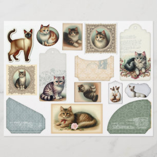 A Large Envelope Plus Pretty Cats in Lacy Frames