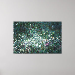 A Lark in a Meadow Canvas Print