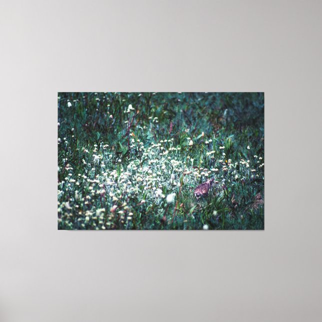 A Lark in a Meadow Canvas Print (Front)