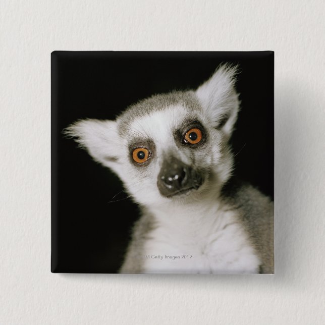 A lemur. 2 inch square button (Front)