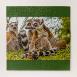 a lemur huhiale female on puzzle