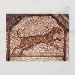 A Leopard Postcard