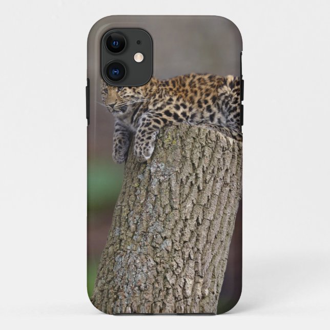 A Leopard's Tail iPhone 5 Case-Mate Case (Back)