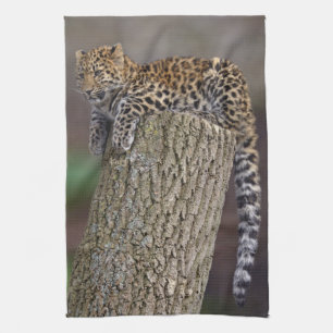 A Leopards Tail Kitchen Towel